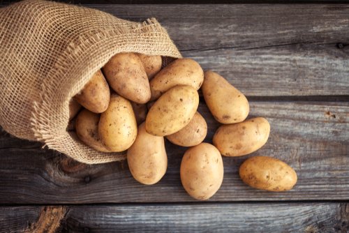 stoffwechsel anregen kartoffel diät
